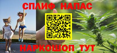 индика Славгород