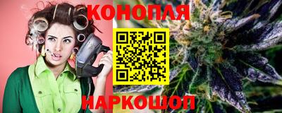 индика Славгород