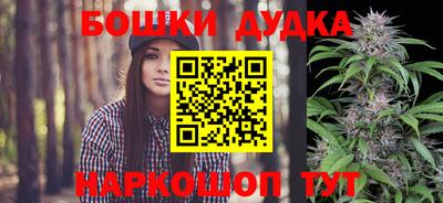 индика Славгород