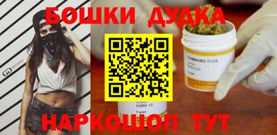 индика Славгород