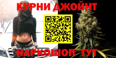 индика Славгород