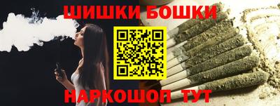 индика Славгород