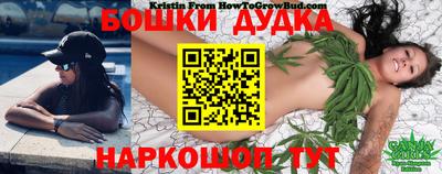 индика Славгород