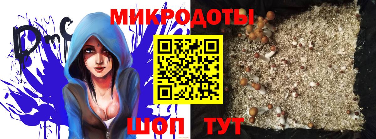 Псилоцибиновые грибы Cubensis Новоуральск