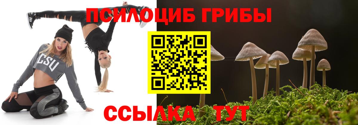 Галлюциногенные грибы MAGIC MUSHROOMS  Вход с VPN  Новоуральск 